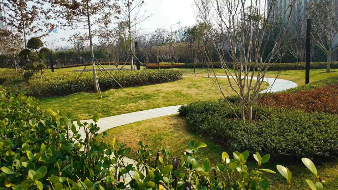 �����(xi��ng)Ŀ